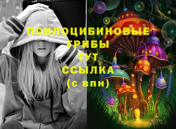 а пвп мука Верхний Тагил