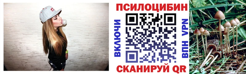 Псилоцибиновые грибы Magic Shrooms  купить наркотик  Реутов 